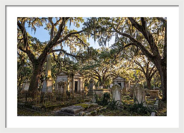 Whispers Of Bonaventure Cemetery