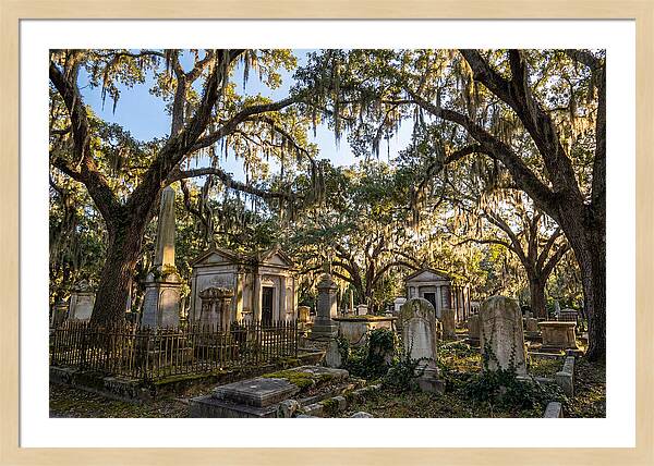 Whispers Of Bonaventure Cemetery