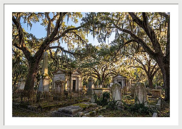 Whispers Of Bonaventure Cemetery