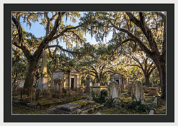 Whispers Of Bonaventure Cemetery