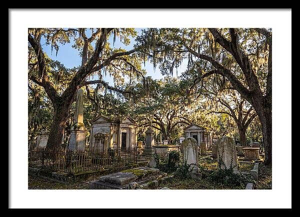 Whispers Of Bonaventure Cemetery