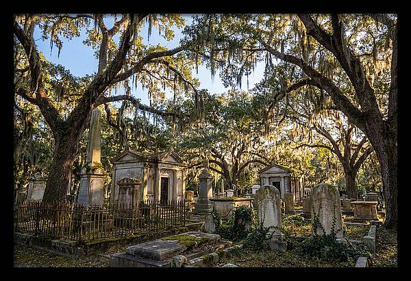 Whispers Of Bonaventure Cemetery