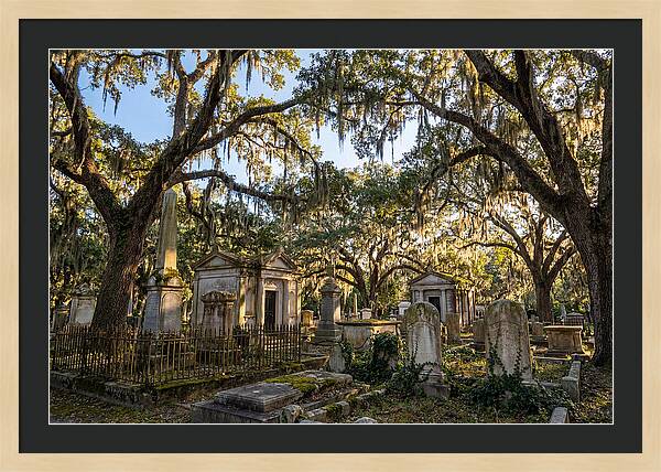Whispers Of Bonaventure Cemetery