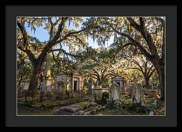 Whispers Of Bonaventure Cemetery