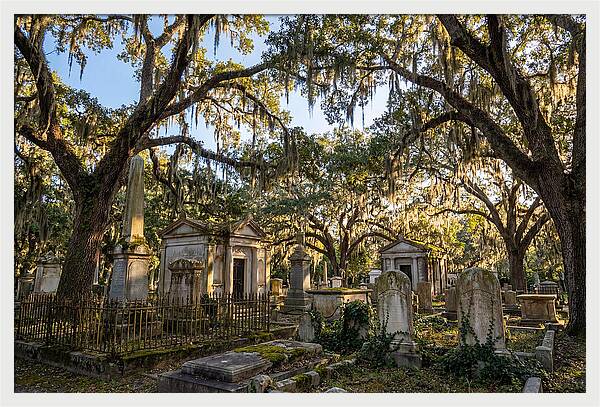 Whispers Of Bonaventure Cemetery
