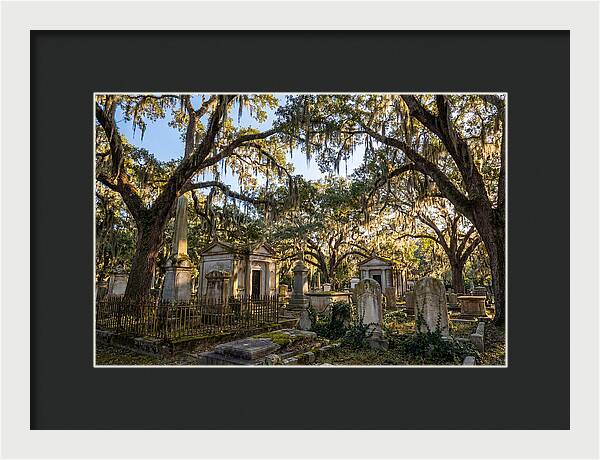 Whispers Of Bonaventure Cemetery