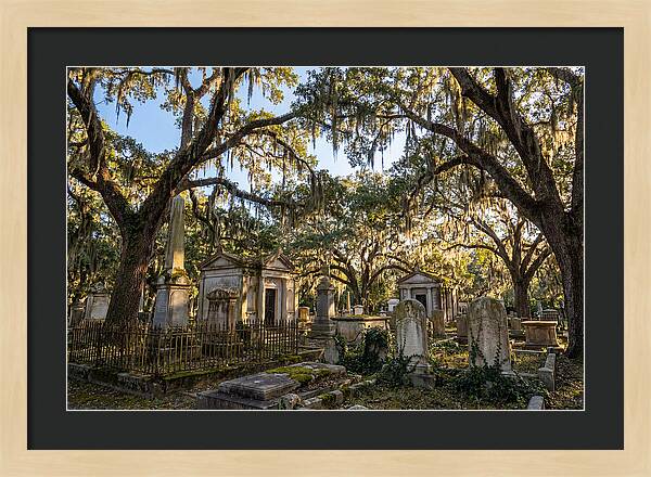 Whispers Of Bonaventure Cemetery