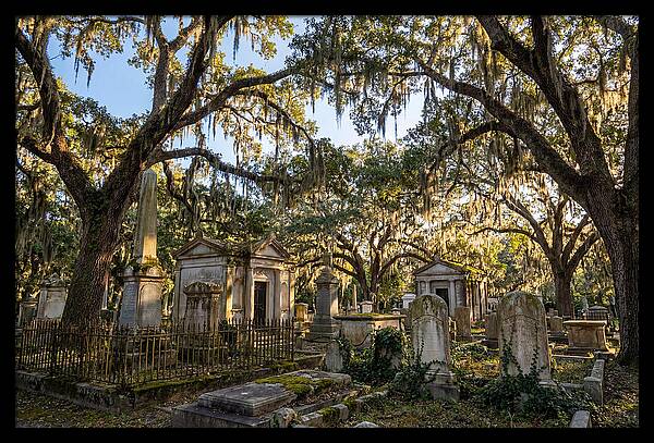 Whispers Of Bonaventure Cemetery