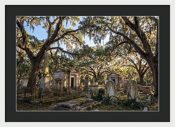 Whispers Of Bonaventure Cemetery