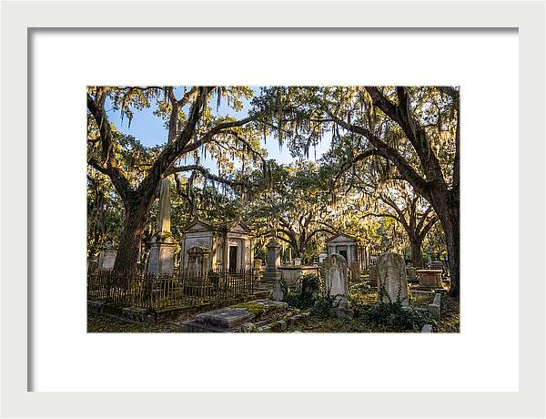 Whispers Of Bonaventure Cemetery