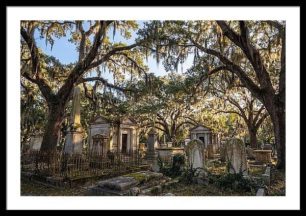 Whispers Of Bonaventure Cemetery