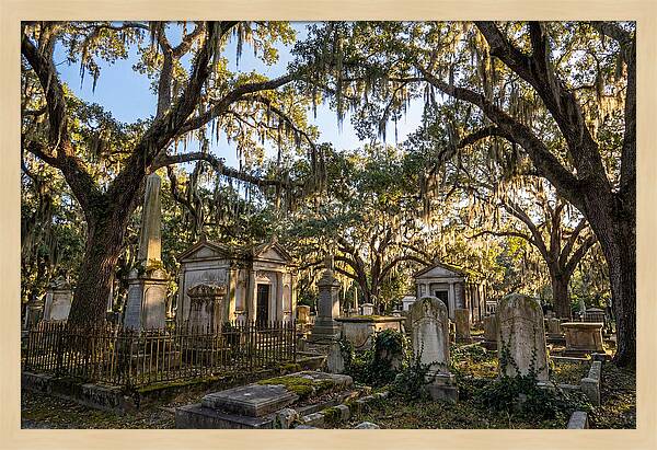 Whispers Of Bonaventure Cemetery