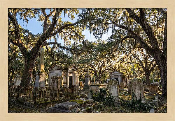 Whispers Of Bonaventure Cemetery