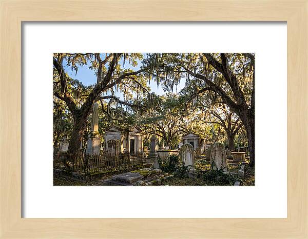 Whispers Of Bonaventure Cemetery