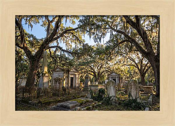 Whispers Of Bonaventure Cemetery