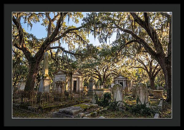 Whispers Of Bonaventure Cemetery