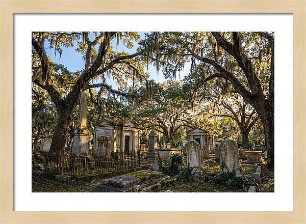Whispers Of Bonaventure Cemetery