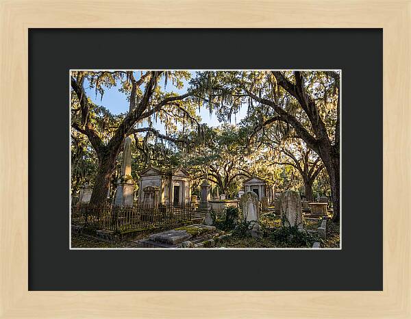Whispers Of Bonaventure Cemetery