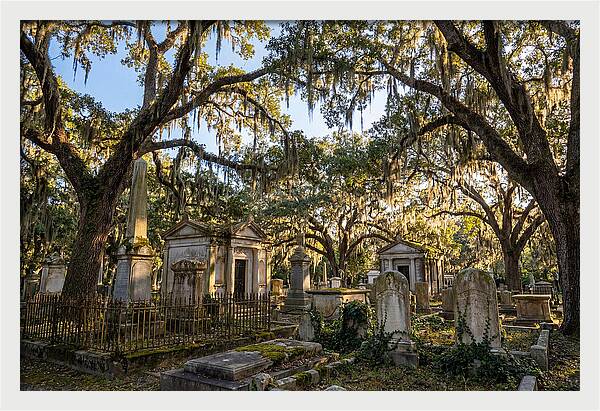 Whispers Of Bonaventure Cemetery