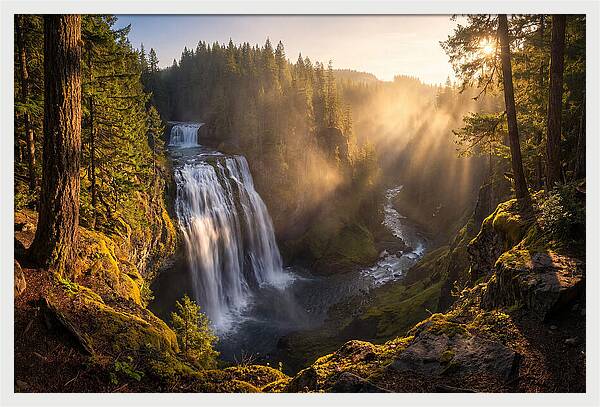 Whispers Of Cedar Falls