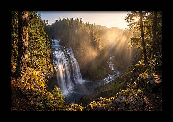 Whispers Of Cedar Falls
