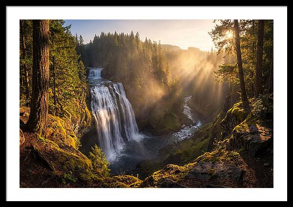Whispers Of Cedar Falls