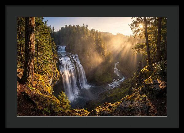 Whispers Of Cedar Falls
