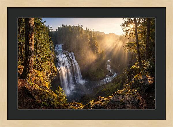 Whispers Of Cedar Falls