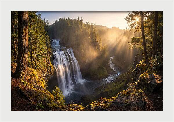 Whispers Of Cedar Falls