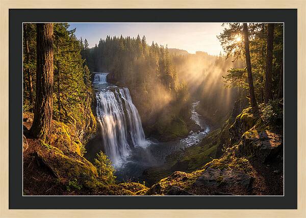 Whispers Of Cedar Falls