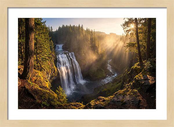 Whispers Of Cedar Falls