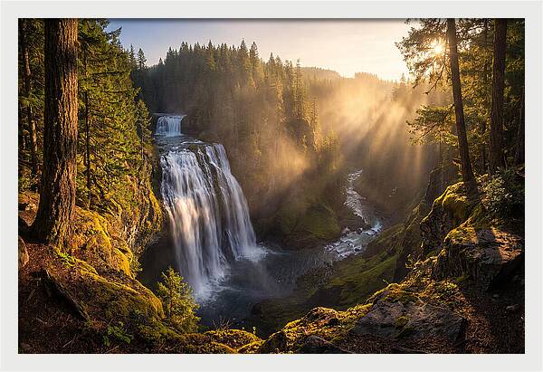 Whispers Of Cedar Falls