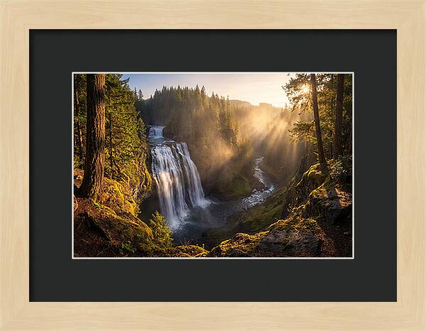 Whispers Of Cedar Falls