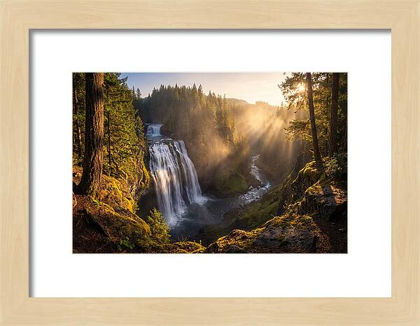Whispers Of Cedar Falls