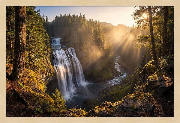Whispers Of Cedar Falls
