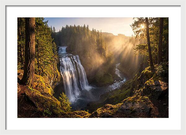 Whispers Of Cedar Falls
