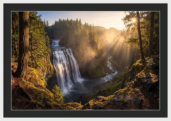 Whispers Of Cedar Falls