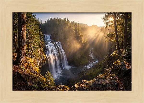 Whispers Of Cedar Falls