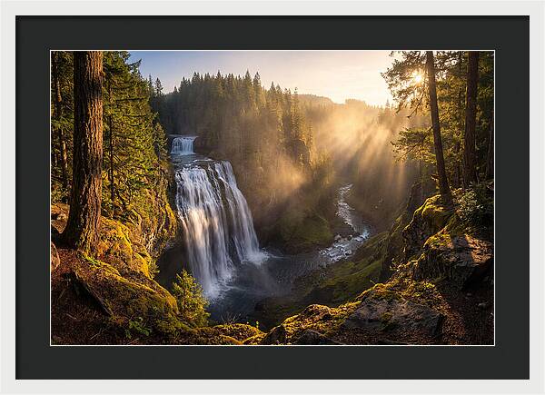 Whispers Of Cedar Falls