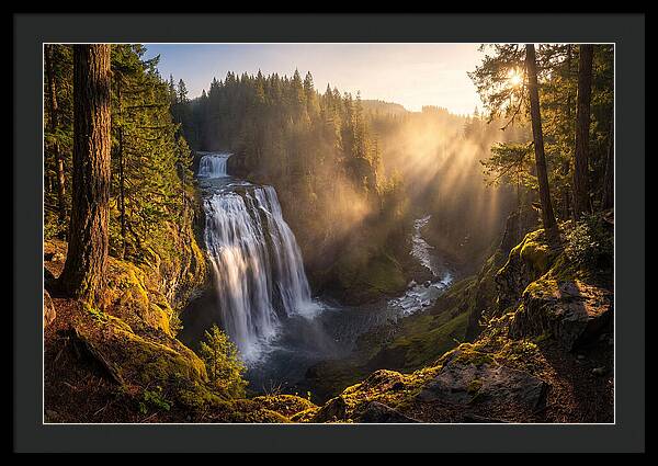 Whispers Of Cedar Falls
