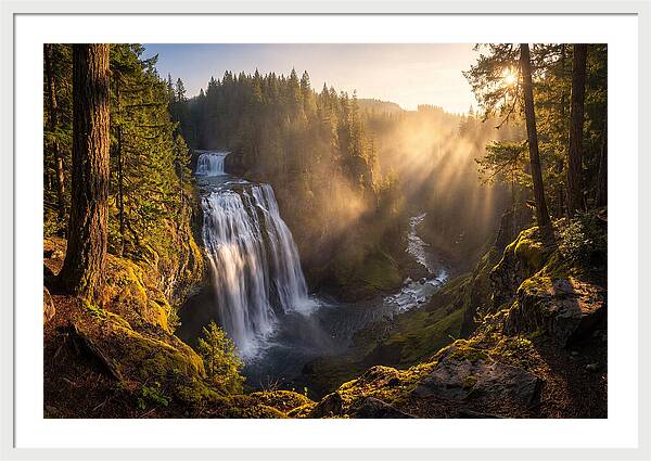 Whispers Of Cedar Falls