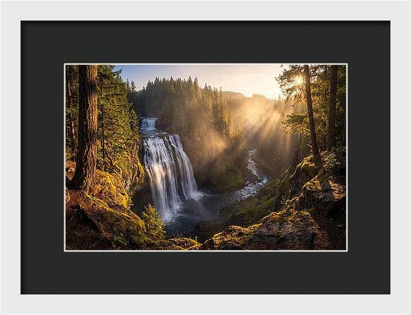 Whispers Of Cedar Falls