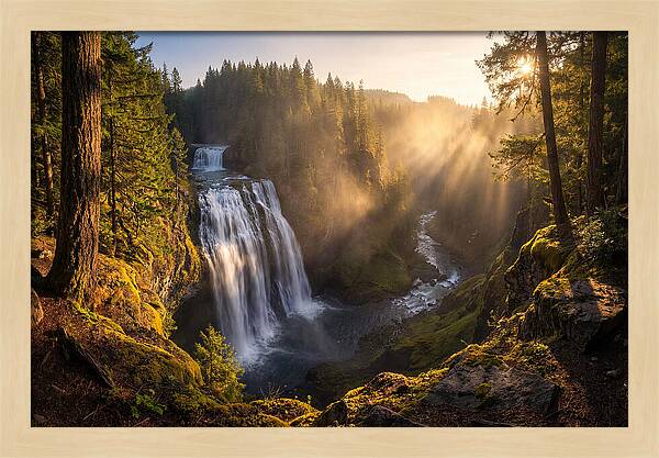 Whispers Of Cedar Falls