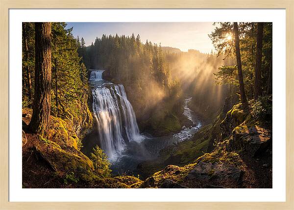 Whispers Of Cedar Falls
