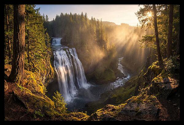 Whispers Of Cedar Falls