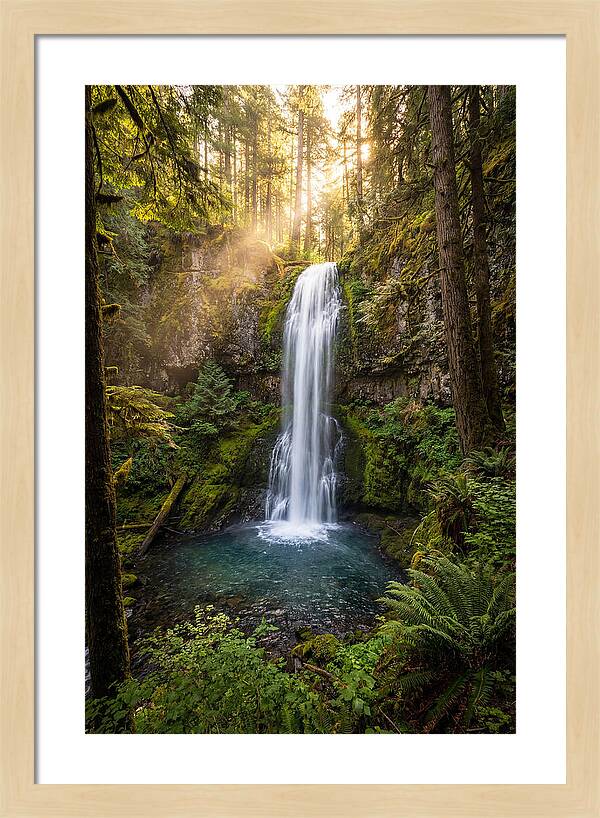 Whispers Of Desoto Falls
