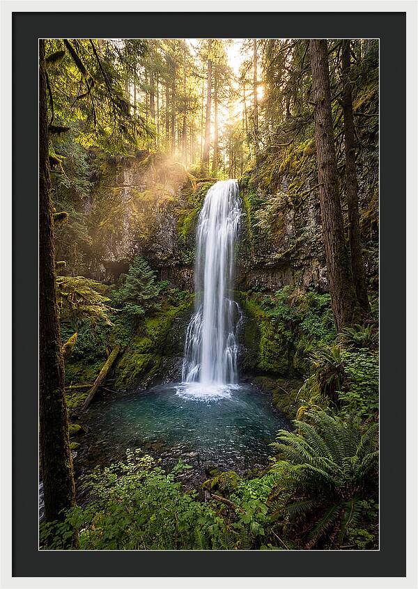 Whispers Of Desoto Falls