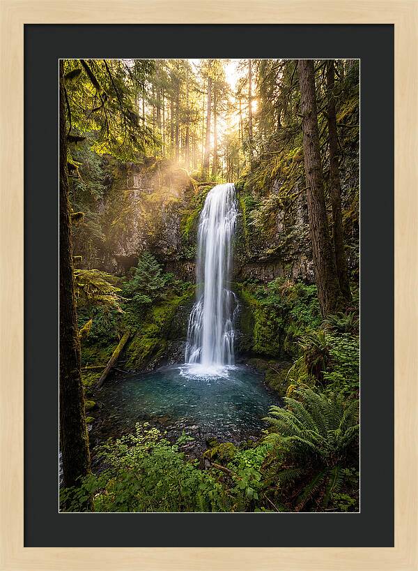 Whispers Of Desoto Falls