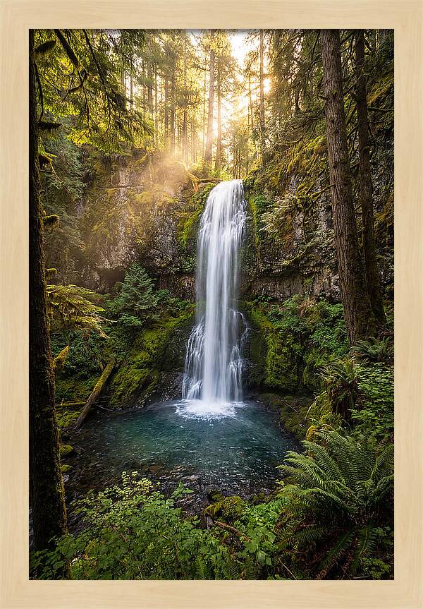 Whispers Of Desoto Falls