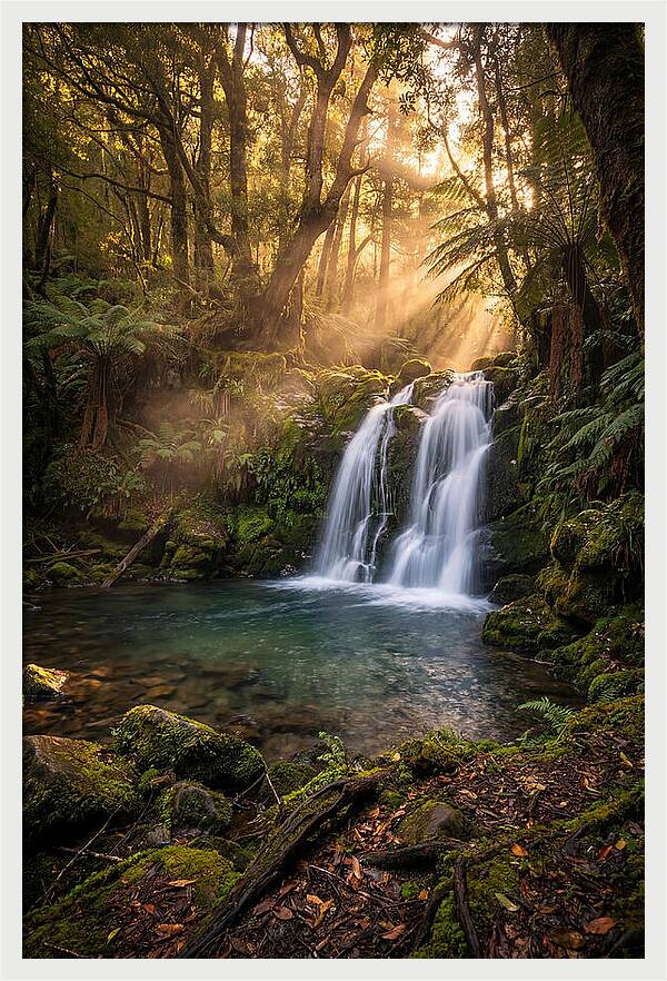 Whispers Of Dunn Falls